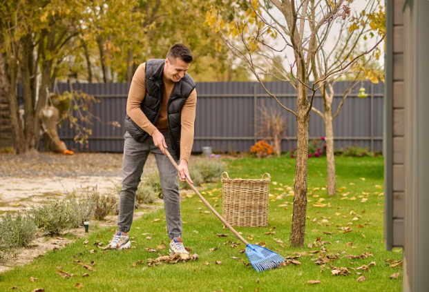 Top Tips for Cleaning and Maintaining Your Outdoor Space Top Tips for Cleaning and Maintaining Your Outdoor Space
